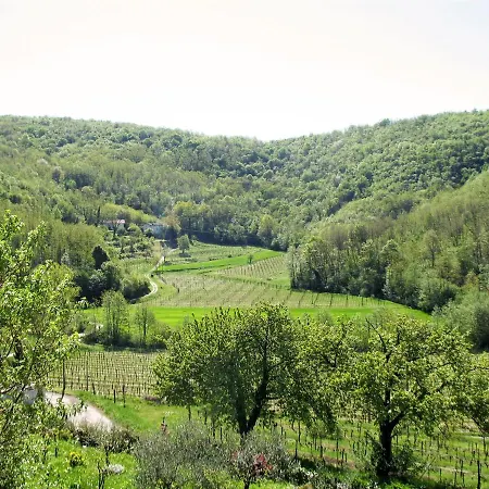 Locazione Turistica Casa Dei Fiori - Cpp400 Tatil Evi